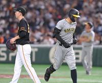 　２回、戸郷（左）の前に遊ゴロに倒れた佐藤輝（撮影・高部洋祐）