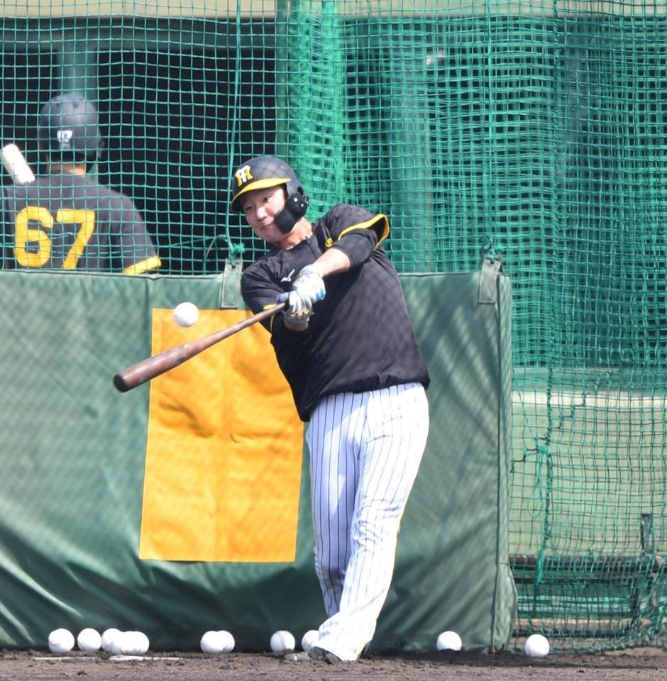 　打撃練習をする渡辺諒（撮影・中田匡峻）