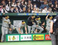 勝利の瞬間、ベンチから飛び出す阪神・村上頌樹（中央）＝東京ドーム（撮影・吉澤敬太）