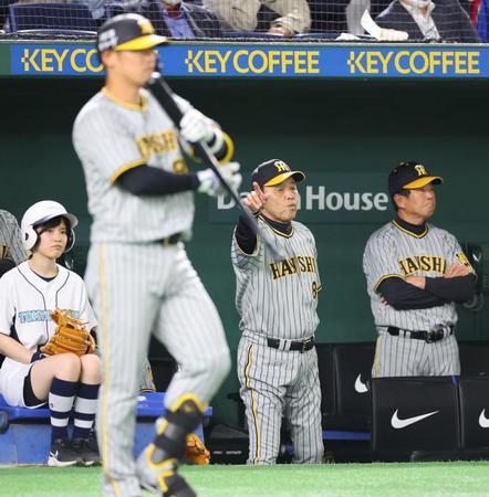 　村上に代え、代打・原口（手前）を送る岡田監督＝１２日