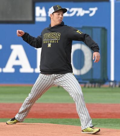 　試合前、マウンドの感触を確かめる青柳（撮影・高部洋祐）