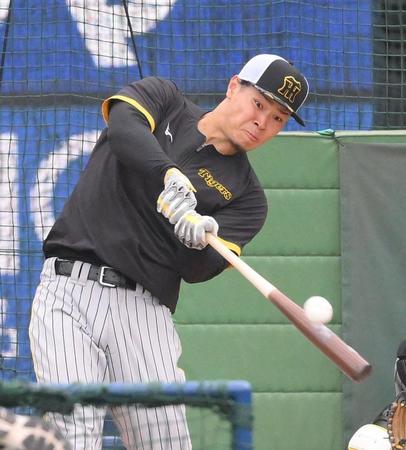　試合前の打撃練習で柵越えを連発した佐藤輝（撮影・伊藤笙子）