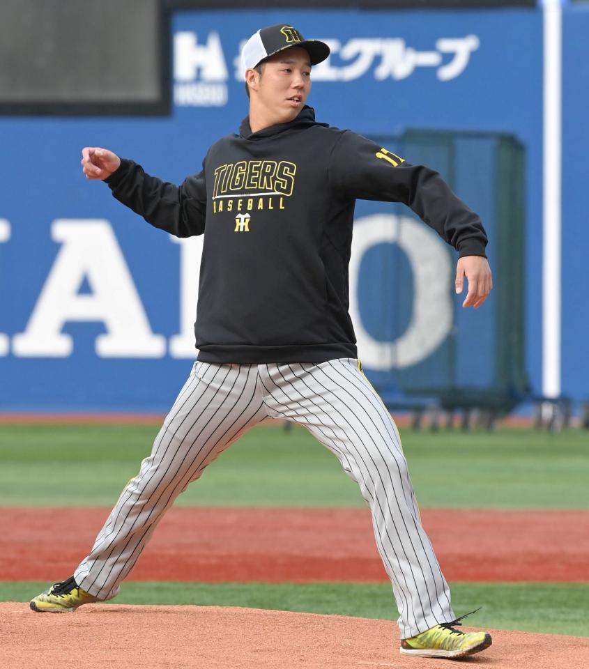 　試合前、マウンドの感触を確かめる青柳（撮影・高部洋祐）