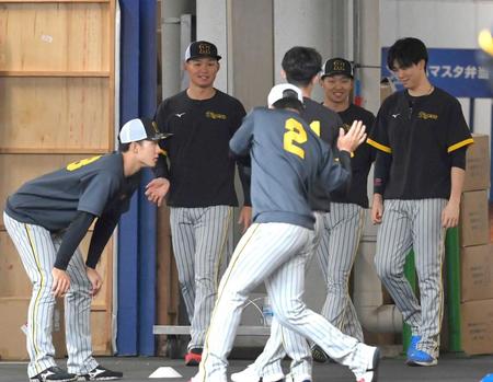　雨天中止が決まり、球場の駐車場で体を動かす森下（左から２人目）ら阪神ナイン（撮影・高部洋祐）