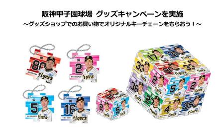 　甲子園　グッズキャンペーン