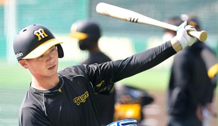 　１軍での活躍が期待される井上