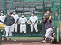 　岡田監督（左）が見守る中、打撃練習する井上（撮影・山口登）