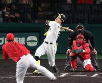 　６回、佐藤輝はフルスイングするも空振りする（撮影・山口登）