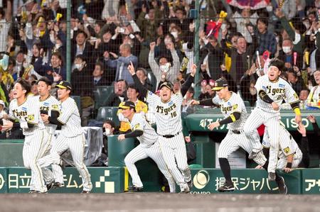 　９回、中野のサヨナラ打に喜びを爆発させる西勇（中央）ら阪神ナイン