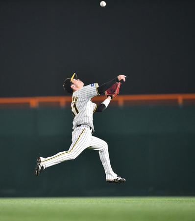 ７回、デビッドソンの打球を好捕した中野（撮影・中田匡峻）