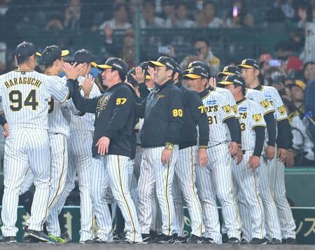 広島に連勝し、ナインとタッチを交わす阪神・岡田監督（中央）＝撮影・高部洋祐