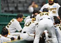 円陣で声を出す阪神・井上（左）＝撮影・中田匡峻