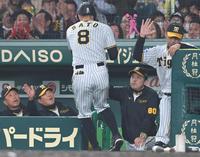 ５回、坂本の先制犠飛で生還した佐藤輝（８）を迎える岡田監督（右から２人目）＝撮影・高部洋祐