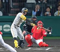 ６回、左前へ適時打を放つ阪神・佐藤輝（撮影・立川洋一郎）