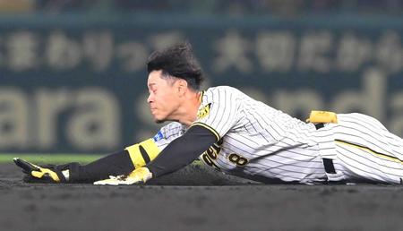 　５回、二塁打を放った佐藤輝はヘッドスライディングする（撮影・高部洋祐）