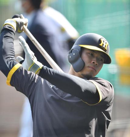 　打撃練習をする佐藤輝（撮影・中田匡峻）