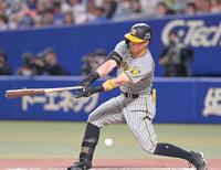 　６回、空振り三振に倒れる佐藤輝（撮影・立川洋一郎）