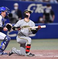 ８回、空振り三振に倒れた中野（撮影・中田匡峻）