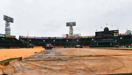 　天候不良のため、阪神対巨人の４回戦は中止（撮影・中田匡峻）