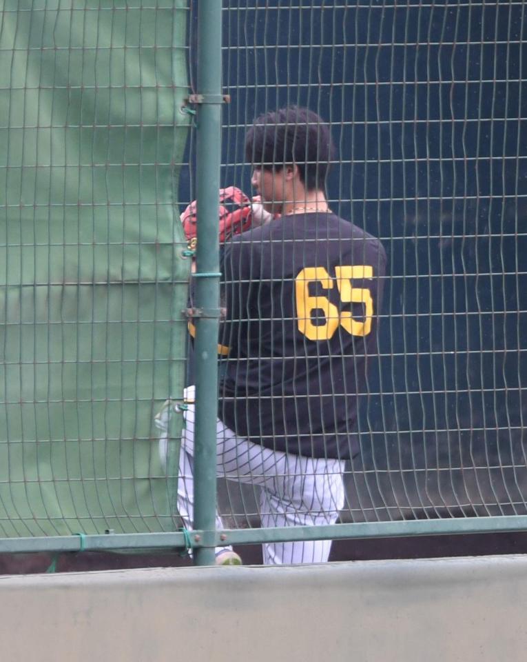 　ブルペンでネットスローする湯浅（撮影・北村雅宏）