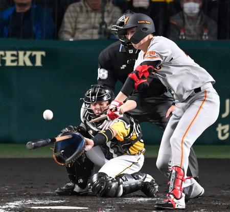 　３回、バットを折られながらもタイムリーを放つ戸郷（撮影・飯室逸平）