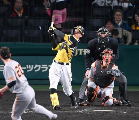 　５回、追撃の１号ソロを放つ佐藤輝（撮影・飯室逸平）