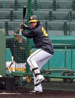 　打撃練習する梅野（撮影・山口登）