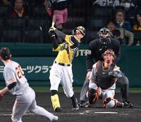 　５回、追撃の１号ソロを放つ佐藤輝（撮影・飯室逸平）