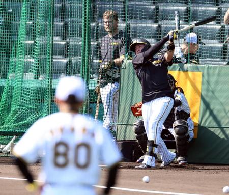 　岡田監督が見守る中、打撃練習する梅野（撮影・山口登）