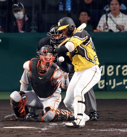 　３回、死球を受ける大山（撮影・山口登）