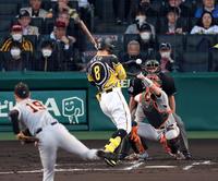 　２回、死球を受ける佐藤輝（撮影・山口登）