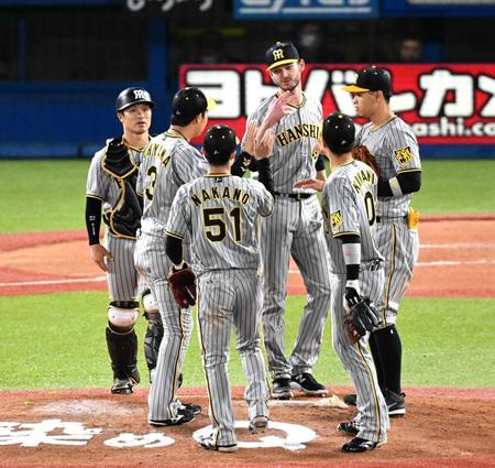 　勝利を喜ぶ坂本（左端）ら阪神ナイン（撮影・金田祐二）