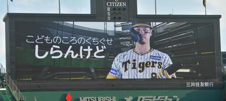 　佐藤輝のくちぐせ（撮影・立川洋一郎）