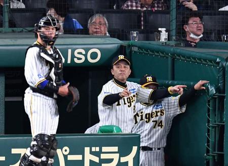 　４回、リクエストを出す岡田監督（右）。左は梅野（撮影・中田匡峻）