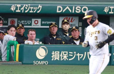 　９回、空振り三振に倒れた大山（右）を見守る岡田監督（奥）ら阪神ナイン