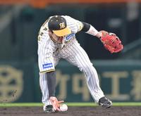 　５回、大島の打球を素手でつかみにいく二塁手・中野（撮影・立川洋一郎）