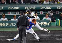 　６回、併殺打に倒れた大山（撮影・中田匡峻）