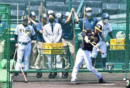 　岡田監督（左）が見守る中、打撃練習をする佐藤輝（撮影・中田匡峻）