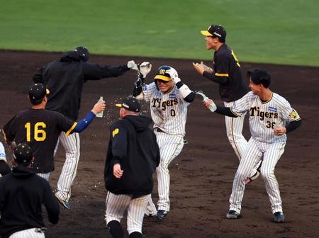 　９回、木浪はサヨナラ打を放ちナインの手荒い祝福を受ける（撮影・山口登）