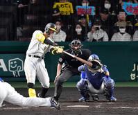 　４回、適時二塁打を放つ佐藤輝（撮影・中田匡峻）