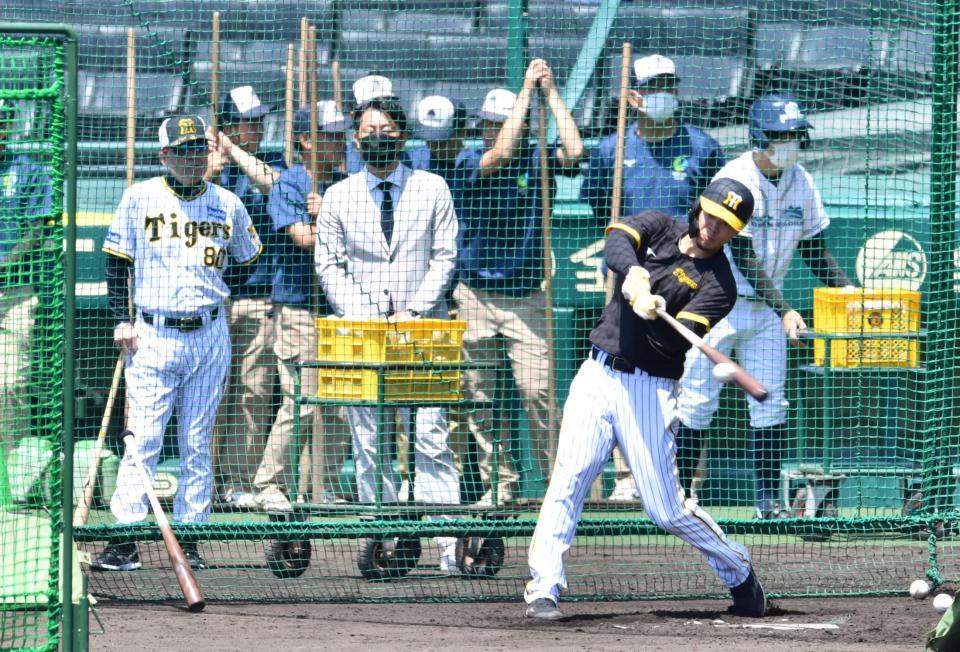 　岡田監督（左）が見守る中、打撃練習をする佐藤輝（撮影・中田匡峻）