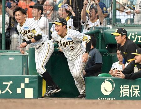 　９回、木浪がサヨナラ打を放ち、ベンチから飛び出す大山（左から２人目）ら阪神ナイン（撮影・高部洋祐）