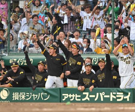 　９回、土壇場の同点劇に歓喜の（前列左から）ビーズリー、石井、富田ら（撮影・高部洋祐）