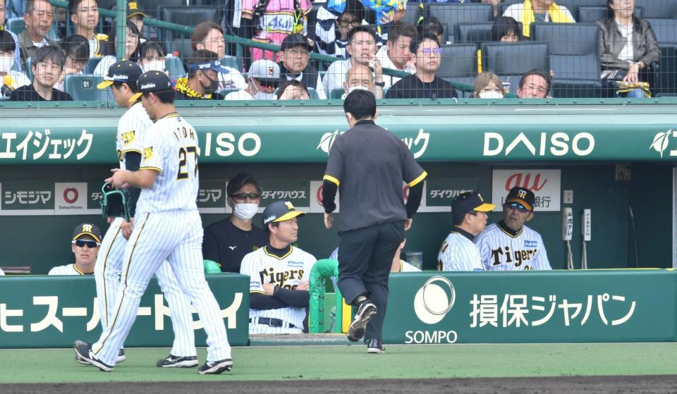 　６回、村松の打球が直撃した伊藤将（２７）を見つめる岡田監督（右端）＝撮影・中田匡峻