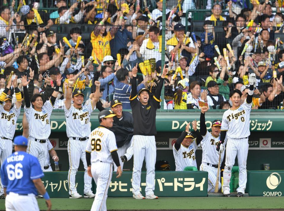 　８回、佐藤輝の勝ち越し打で盛り上がる阪神ナイン（撮影・中田匡峻）