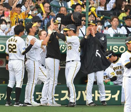 　８回、佐藤輝の勝ち越し打で生還した島田（５３）を迎える（左から）植田、伊藤将、加治屋、（一つ飛んで）及川（撮影・中田匡峻）