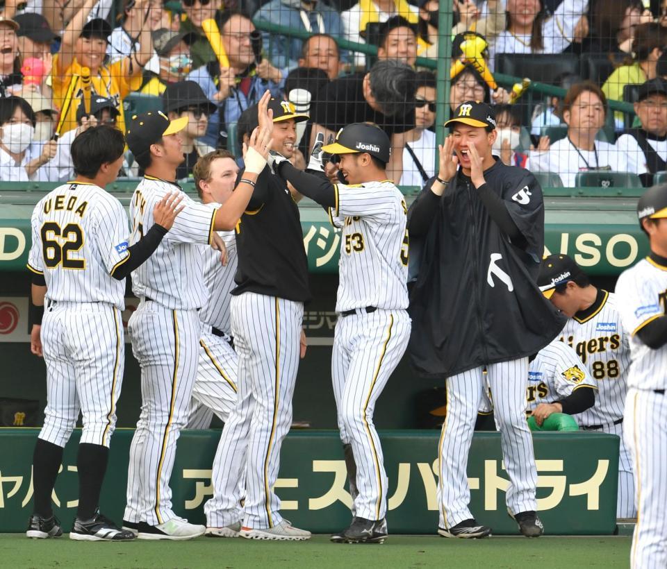 　８回、佐藤輝の勝ち越し打で生還した島田（５３）を迎える（左から）植田、伊藤将、加治屋、（一つ飛んで）及川（撮影・中田匡峻）
