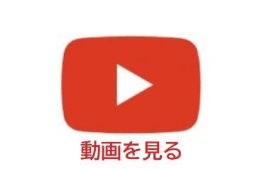 阪神タイガース公式より