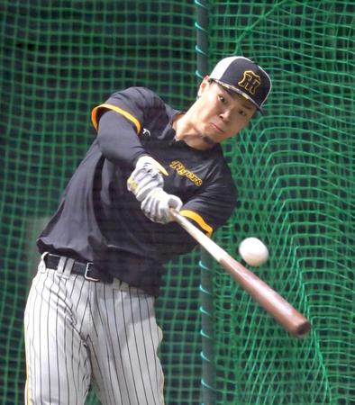 　フリー打撃で快音を響かせる佐藤輝（撮影・立川洋一郎）