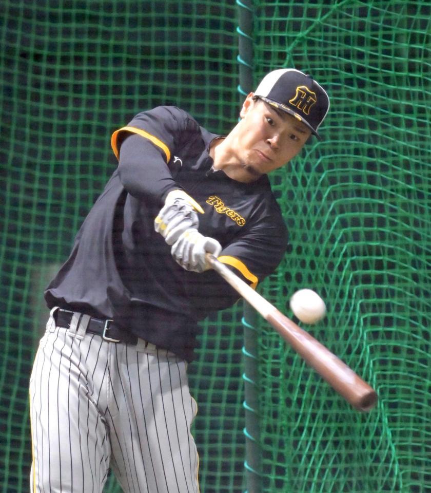 　フリー打撃で快音を響かせる佐藤輝（撮影・立川洋一郎）